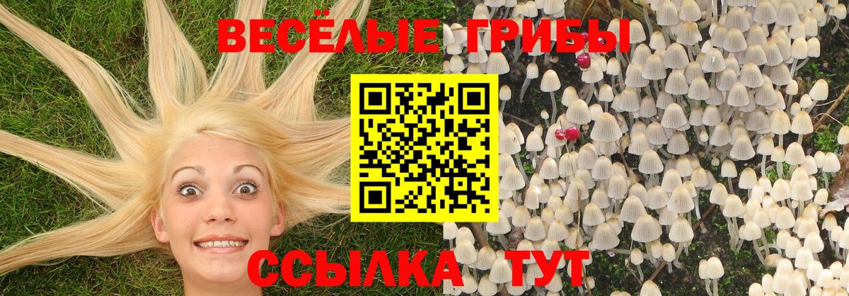 Галлюциногенные грибы Cubensis  Вход с VPN  Магнитогорск 